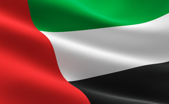 UAE (Dubai) flag